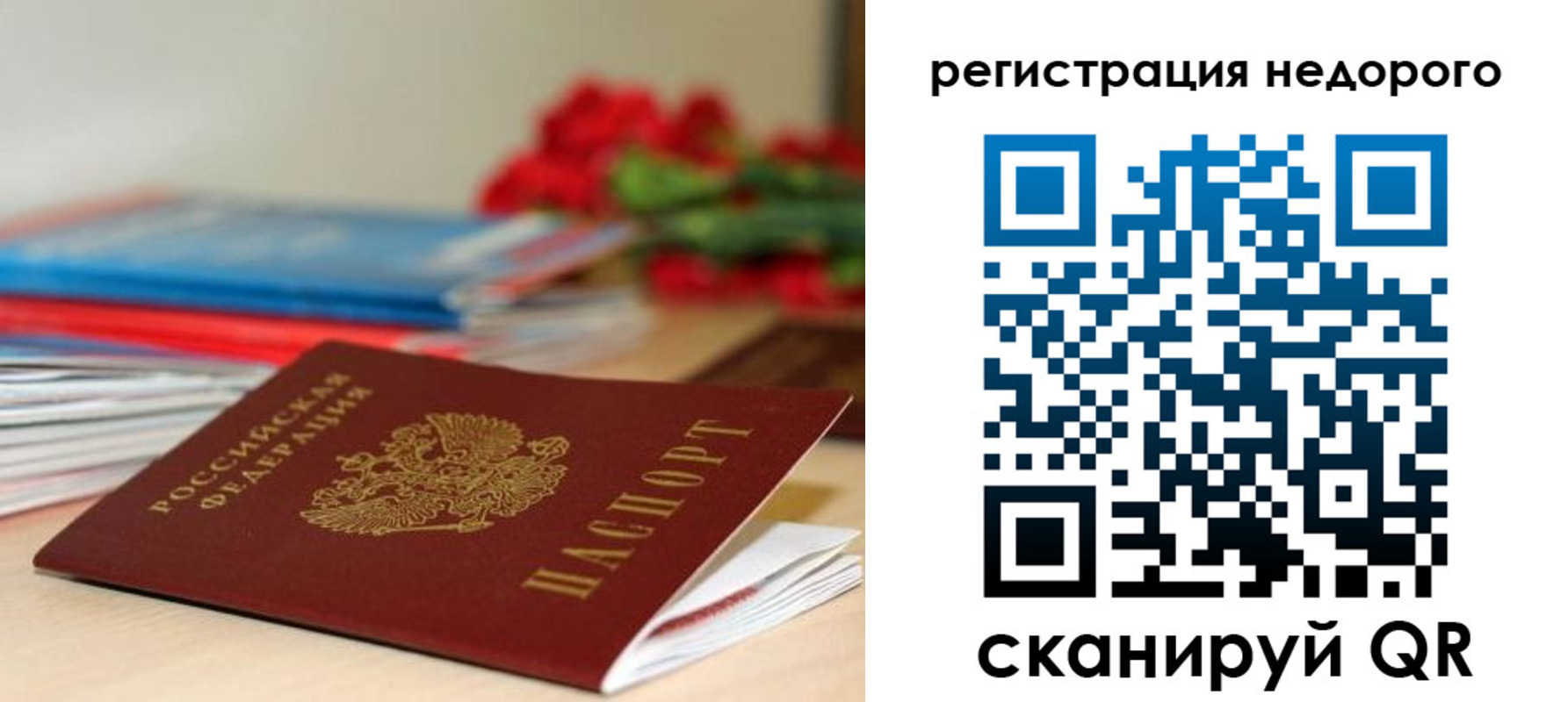 временная регистрация гарантия в Острове
